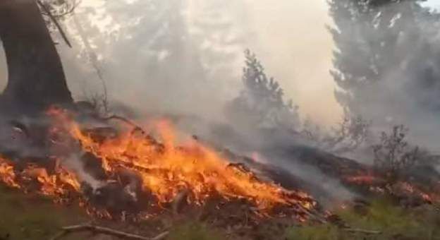 آتش‌سوزی چند روزه در جنگل‌های نورستان؛ طالبان: تجهیزات لازم برای مهار آتش نداریم