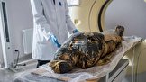 دانشمندان: دلیل مرگ نخستین مومیایی باردار مصر باستان احتمالا سرطانی نادر بوده است
