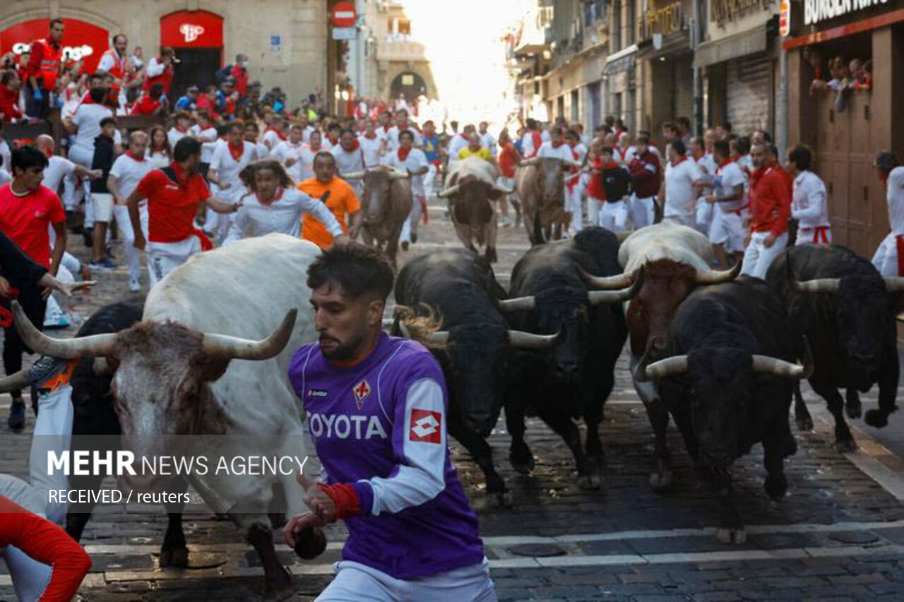 تصاویر: جشنواره سن فرمین در پامپلونا