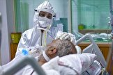 کرونا؛ جدول زمانی آنچه در بدن بعد از ورود ویروس اتفاق می‌افتد