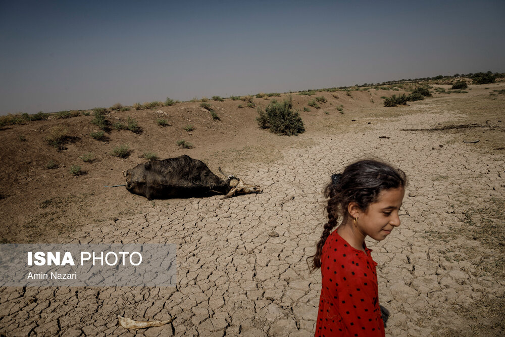 تصاویر: آبرسانی با تانکر به روستاهای درگیر تنش آبی در حمیدیه- خوزستان