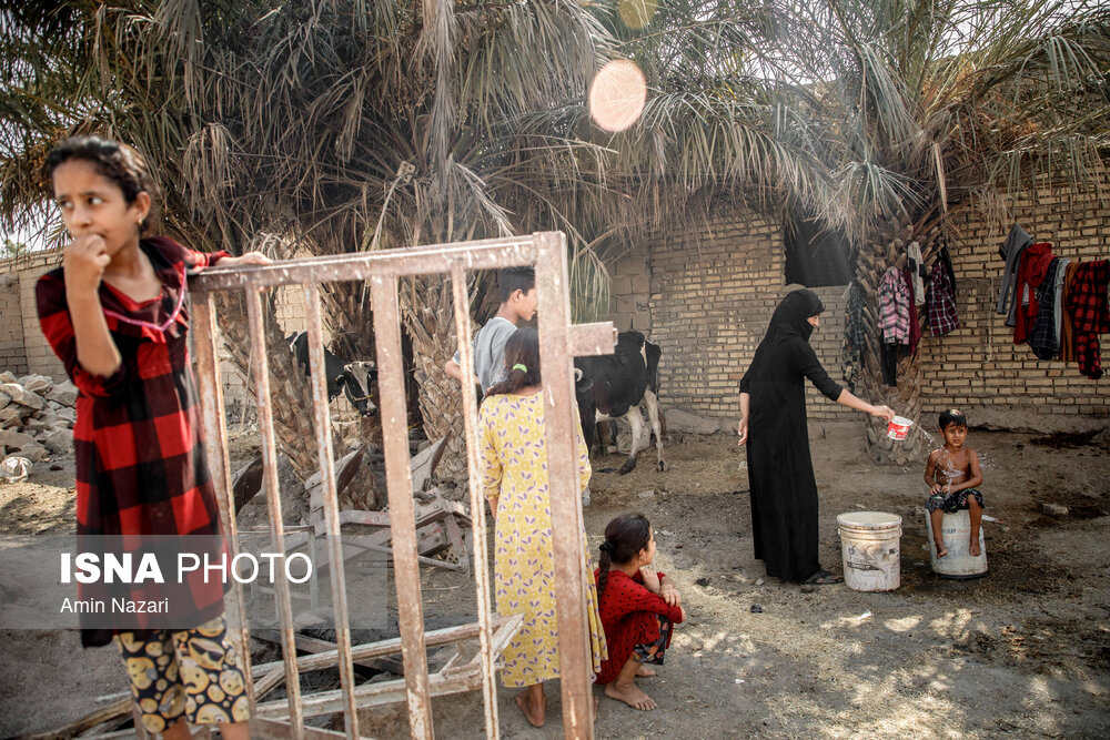 تصاویر: آبرسانی با تانکر به روستاهای درگیر تنش آبی در حمیدیه- خوزستان