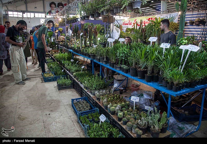 تصاویر: نمایشگاه گل و گیاه در کرمانشاه