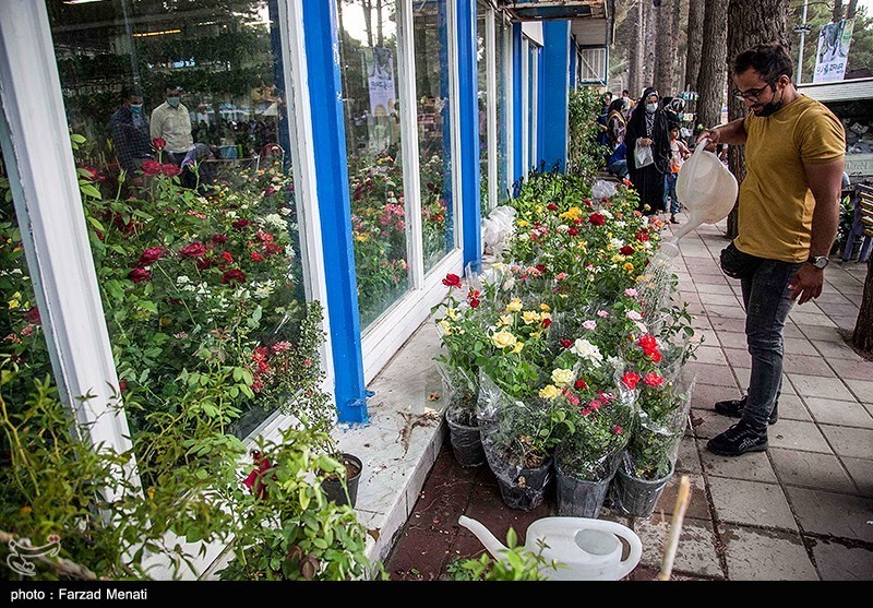 تصاویر: نمایشگاه گل و گیاه در کرمانشاه