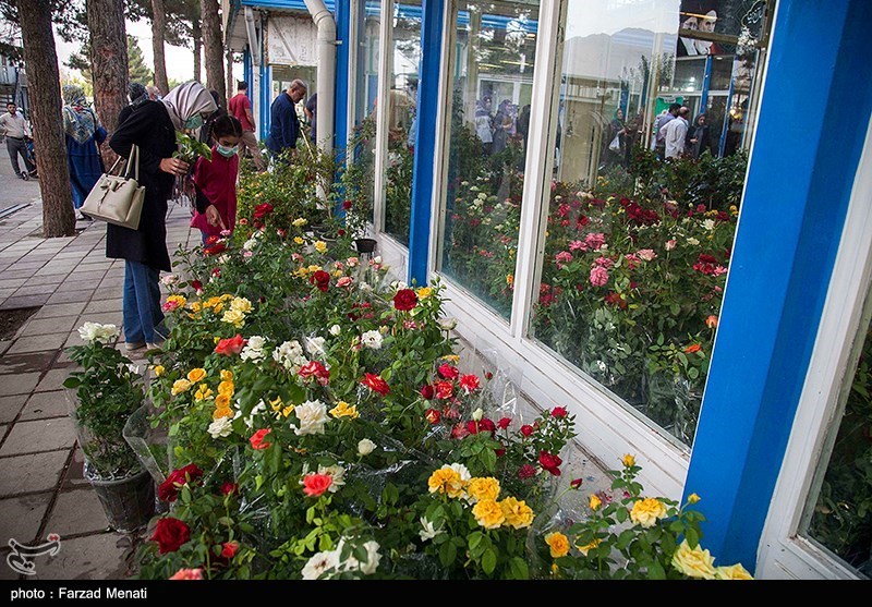 تصاویر: نمایشگاه گل و گیاه در کرمانشاه