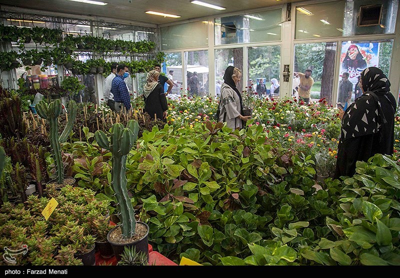 تصاویر: نمایشگاه گل و گیاه در کرمانشاه