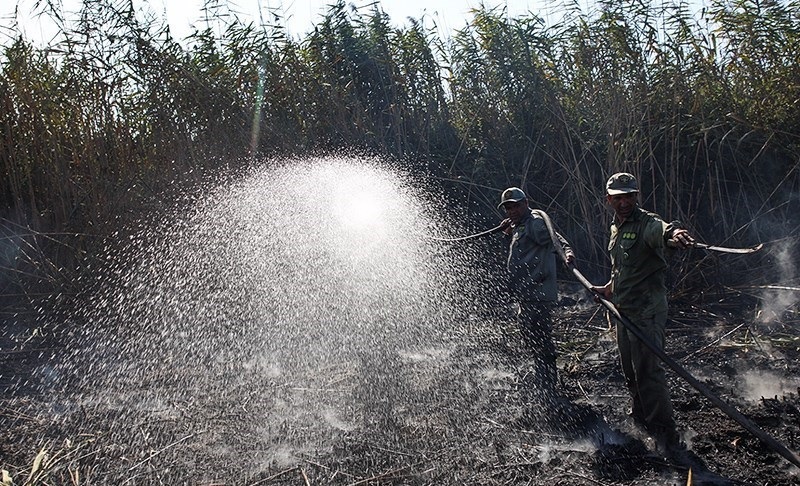مهار کامل آتش&zwnj;سوزی در تالاب بین&zwnj;المللی انزلی/ پایش نقطه به نقطه تالاب ادامه دارد + تصاویر