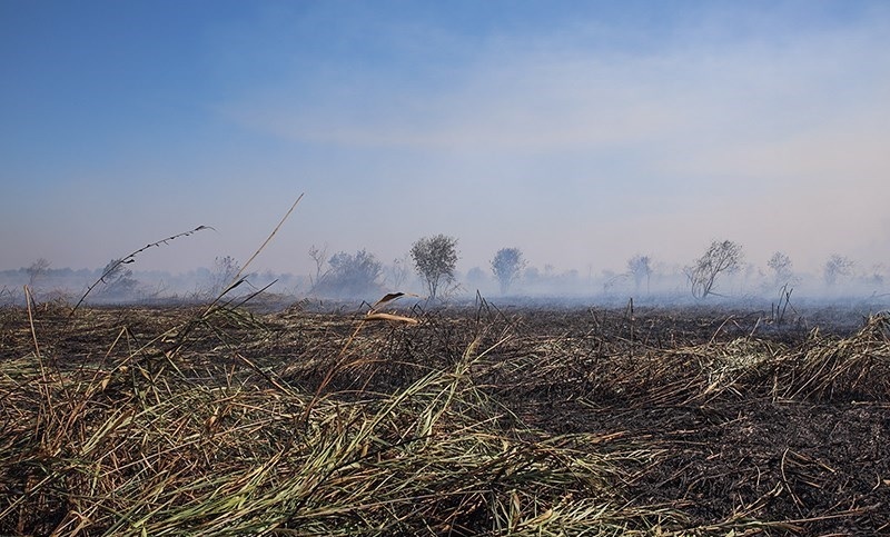 مهار کامل آتش&zwnj;سوزی در تالاب بین&zwnj;المللی انزلی/ پایش نقطه به نقطه تالاب ادامه دارد + تصاویر