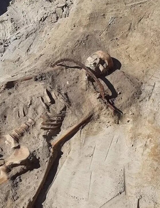 اسکلت یک زن خون آشام با داسی به دور گلو برای جلوگیری از زنده شدن در لهستان پیدا شد اسکلت یک زن خون آشام با داسی به دور گلو برای جلوگیری از زنده شدن در لهستان پیدا شد