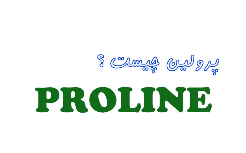 آشنایی با اسید آمینه پرولین : آشنایی با اسید آمینه پرولین :
