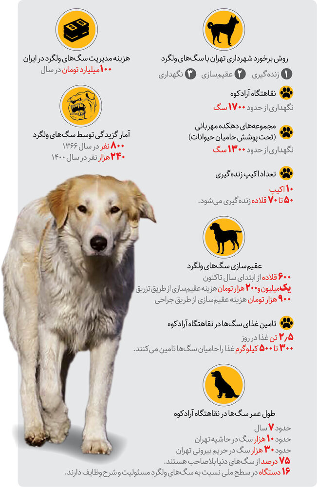 مشاهده گرگ در محله سوهانک تهران / پس از سگهای ولگرد، گرگها هم به نزدیکی پایتخت رسیدند مشاهده گرگ در محله سوهانک تهران / پس از سگهای ولگرد، گرگها هم به نزدیکی پایتخت رسیدند