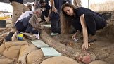 عاج فیل ماقبل تاریخ در اسرائیل کشف شد