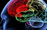 آلودگی هوا با افزایش خطر سکته مغزی مرتبط است