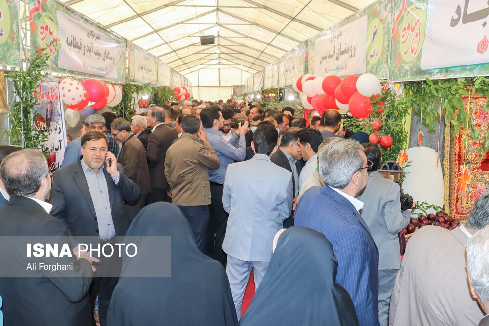 تصاویر: جشنواره انار ساوه
