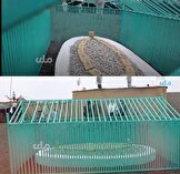 طالبان از قبر ملا عمر رونمایی کرد