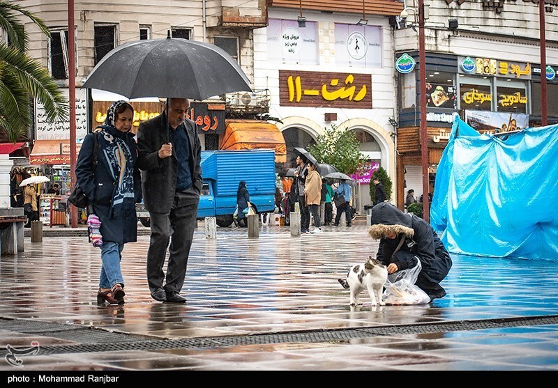 تصاویر: بارش باران در رشت