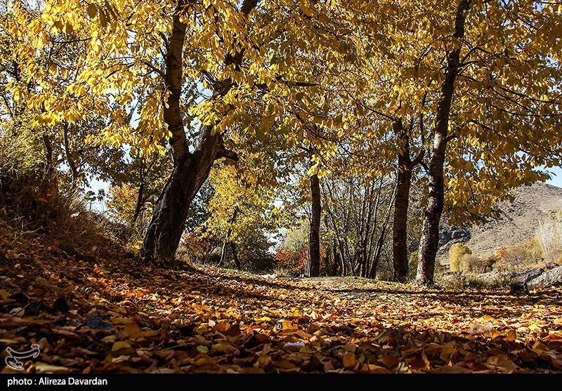 طبیعت پاییزی اردبیل