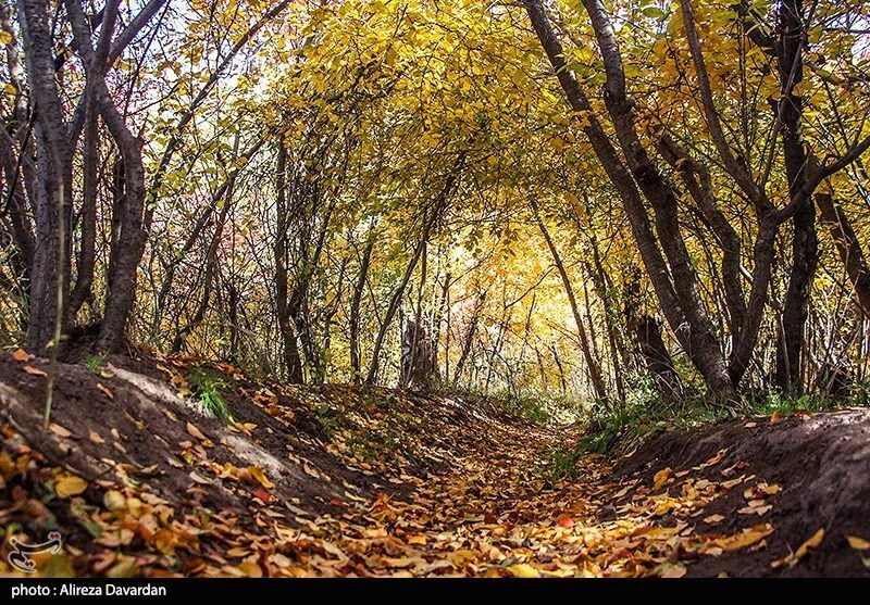 طبیعت پاییزی اردبیل