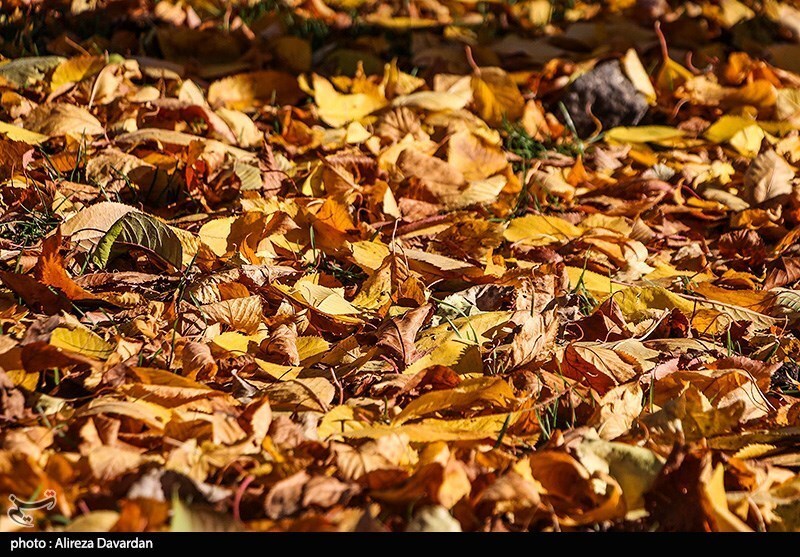 طبیعت پاییزی اردبیل