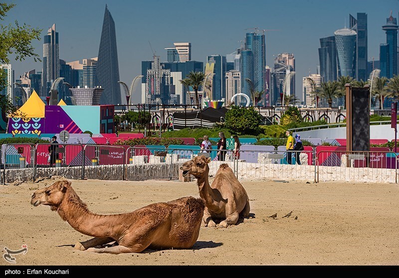 تصاویر: قطر میزبان جام جهانی ۲۰۲۲