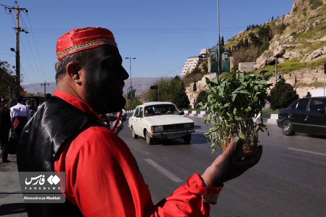 تصاویر: اجرای طرح «از سبزه تا کمپوست» در شیراز