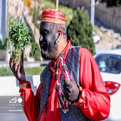 تصاویر: اجرای طرح «از سبزه تا کمپوست» در شیراز