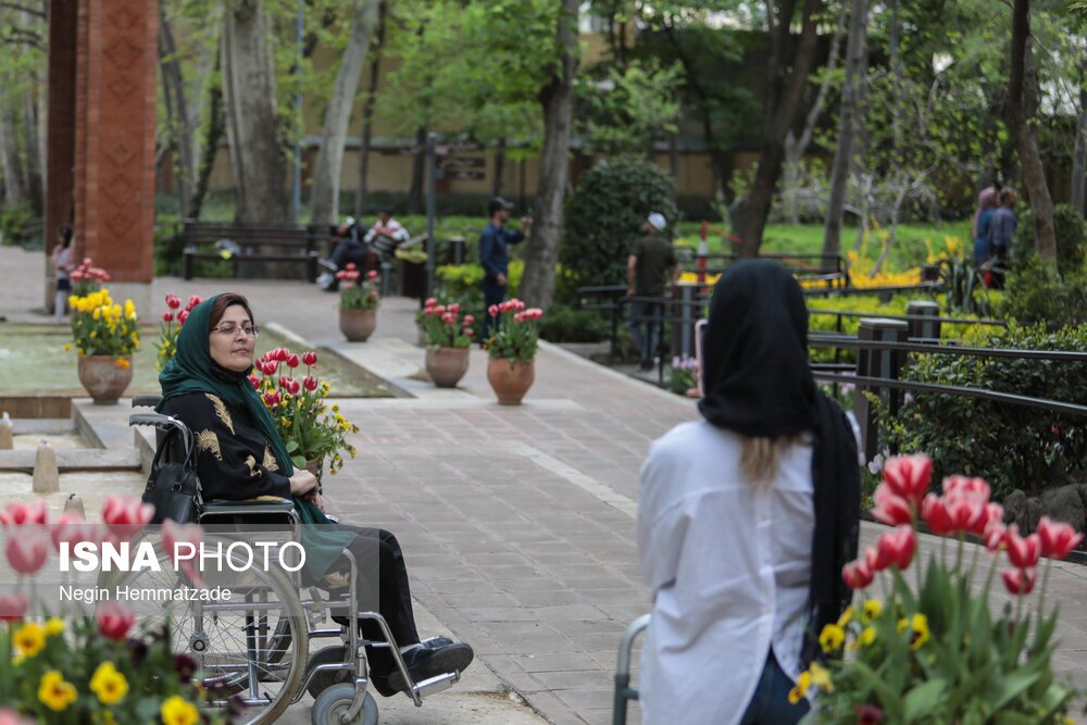 تصاویر: تور عکاسی از بوستان باغ ایرانی(لاله ها)