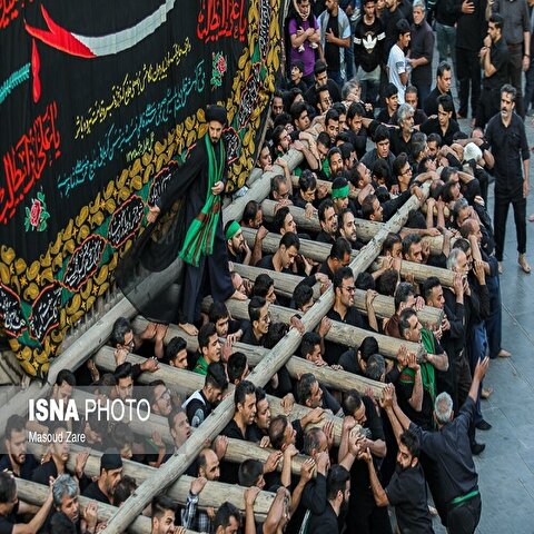 تصاویر: آیین نخل گردانی به مناسبت شهادت امیرالمومنین(ع) - یزد