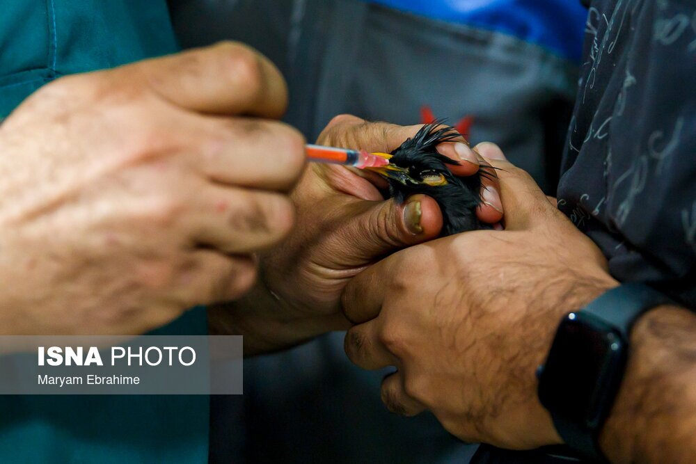 تصاویر: دست‌هایی که بینایی می‌بخشند