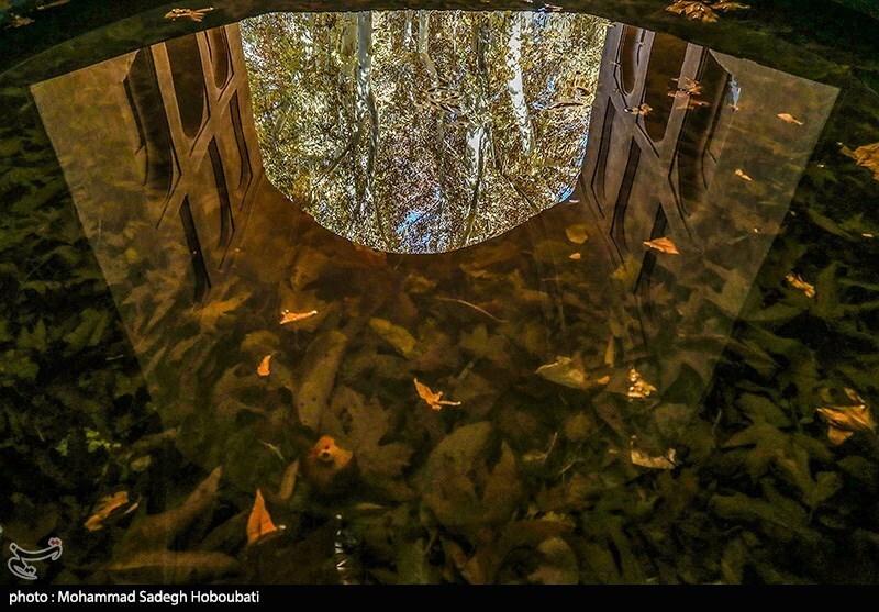 تصاویر: طبیعت باغ پهلوان پور- مهریز