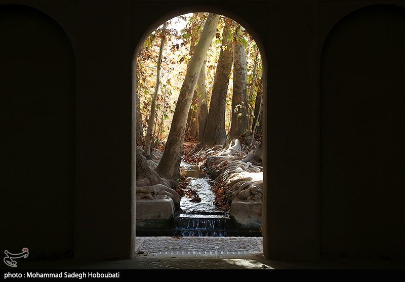 تصاویر: طبیعت باغ پهلوان پور- مهریز