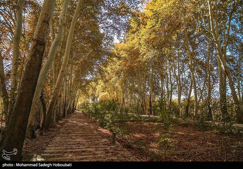 تصاویر: طبیعت باغ پهلوان پور- مهریز