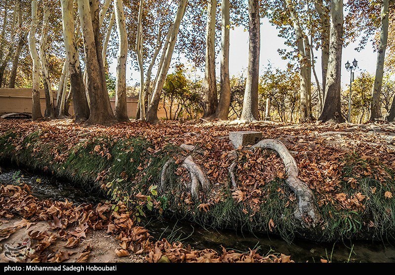 تصاویر: طبیعت باغ پهلوان پور- مهریز