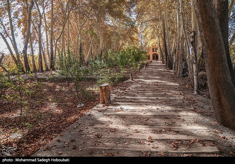 تصاویر: طبیعت باغ پهلوان پور- مهریز