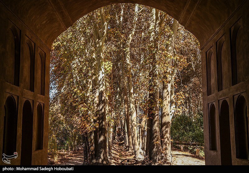 تصاویر: طبیعت باغ پهلوان پور- مهریز