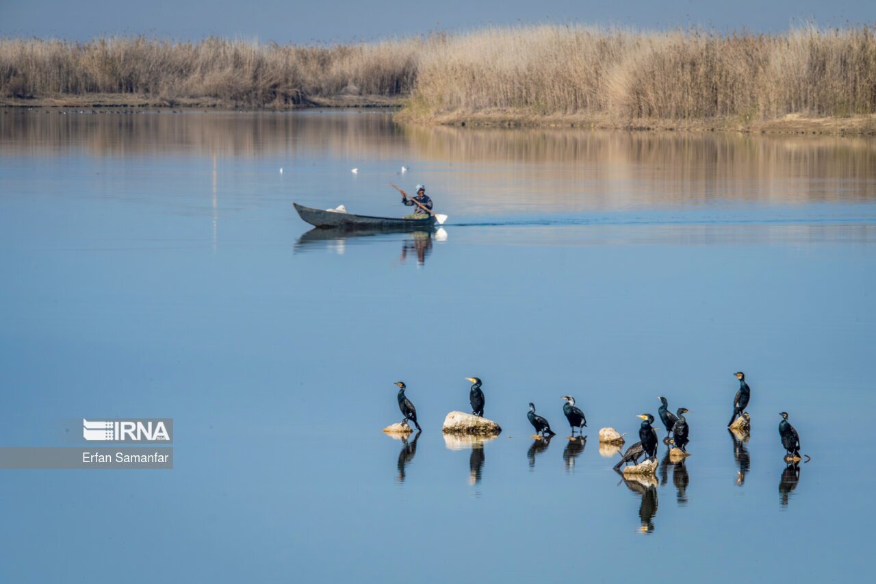 تصاویر: کلان‌تالاب «هورالعظیم»