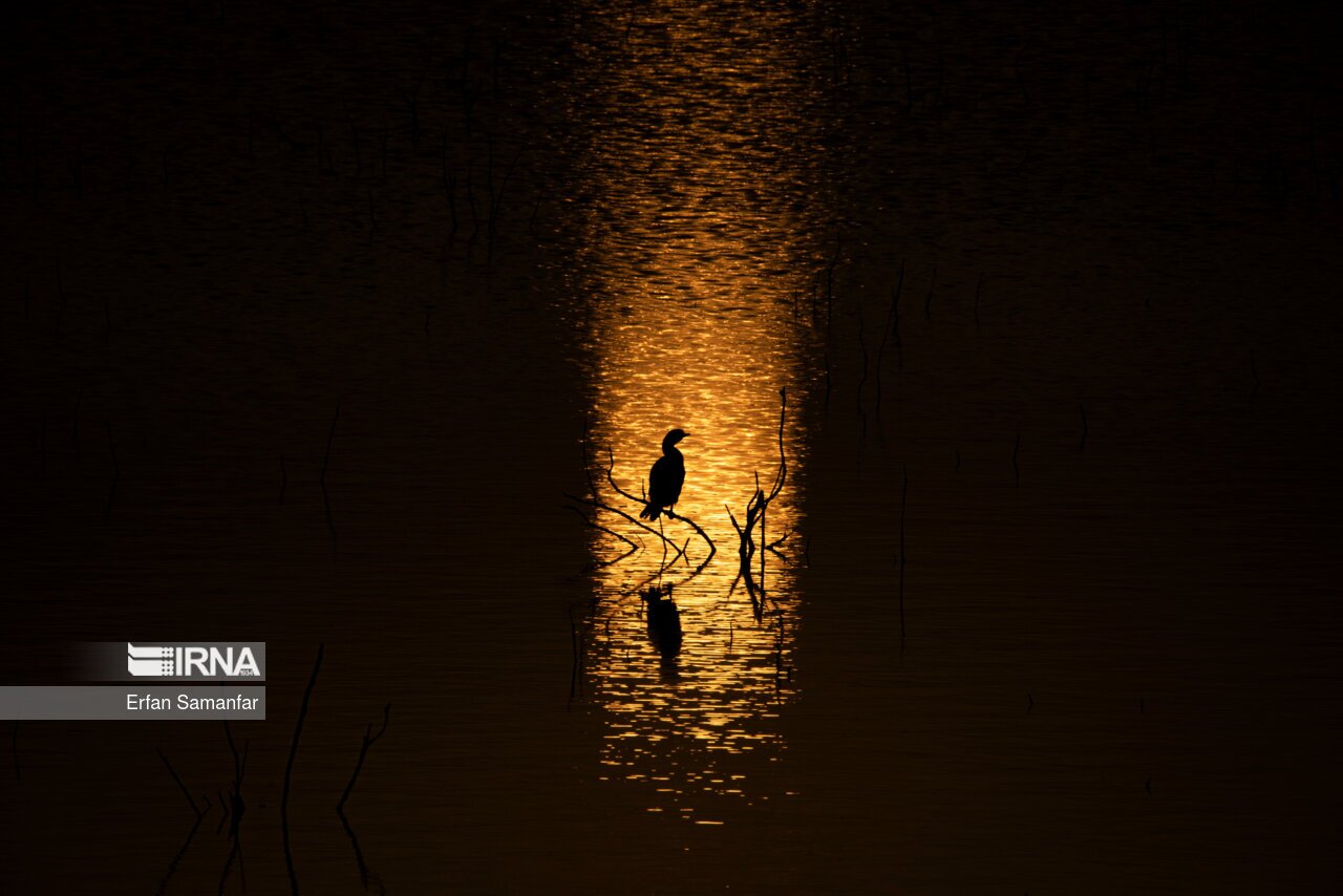 تصاویر: کلان‌تالاب «هورالعظیم»