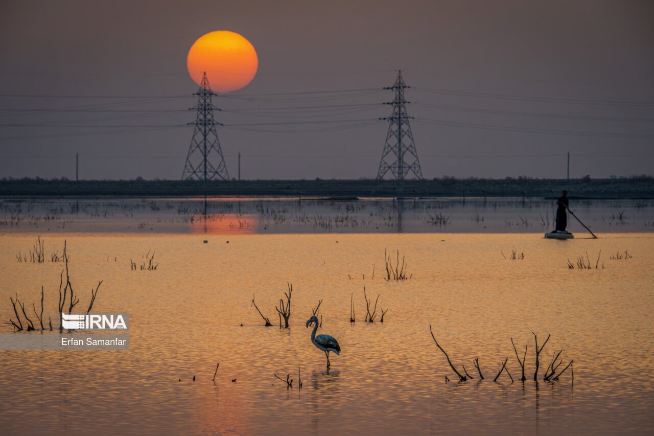 تصاویر: کلان‌تالاب «هورالعظیم»