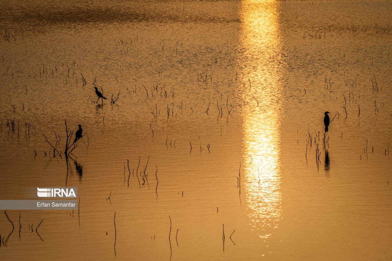 تصاویر: کلان‌تالاب «هورالعظیم»