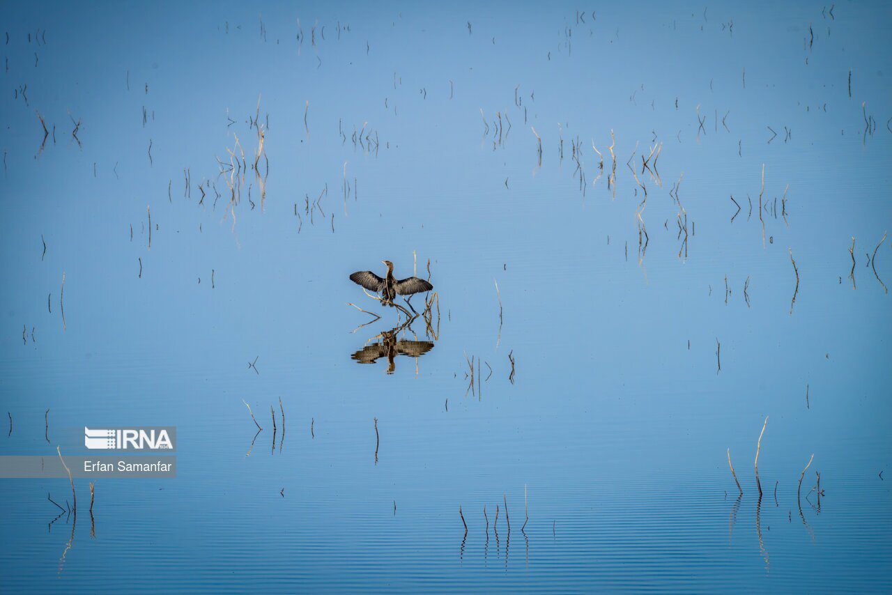 تصاویر: کلان‌تالاب «هورالعظیم»