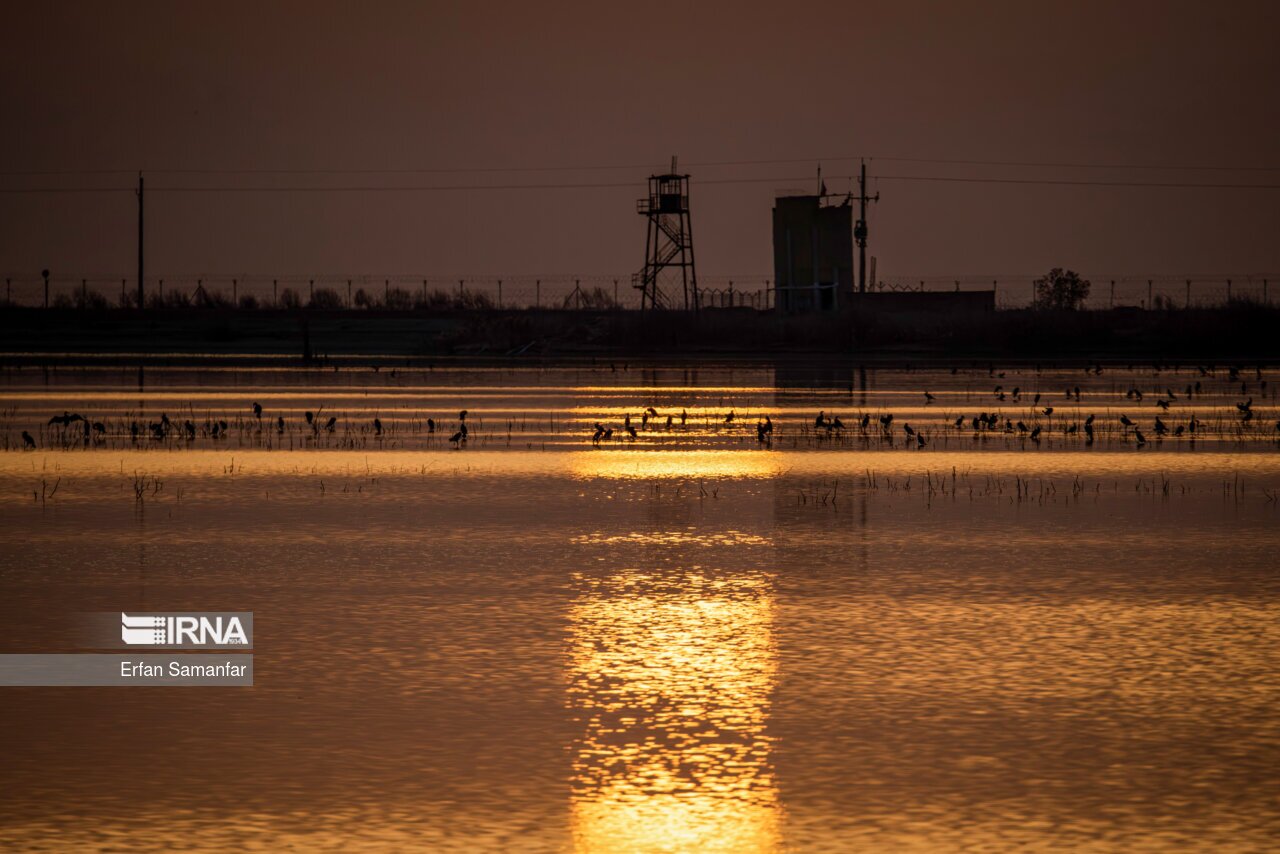 تصاویر: کلان‌تالاب «هورالعظیم»