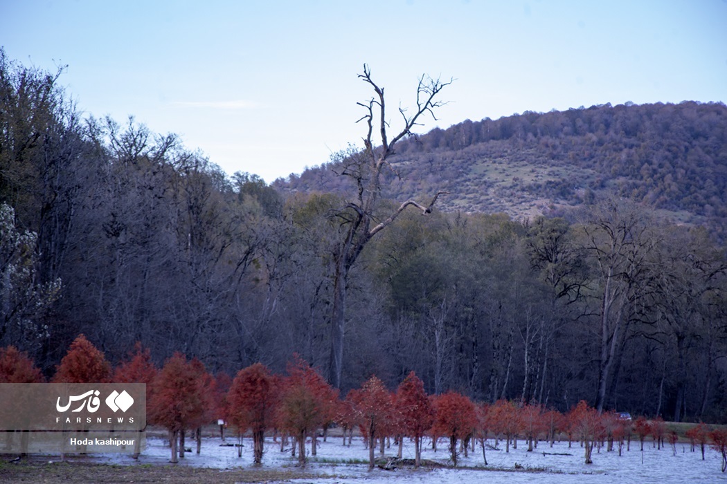 تصاویر: پاییز در زمستان