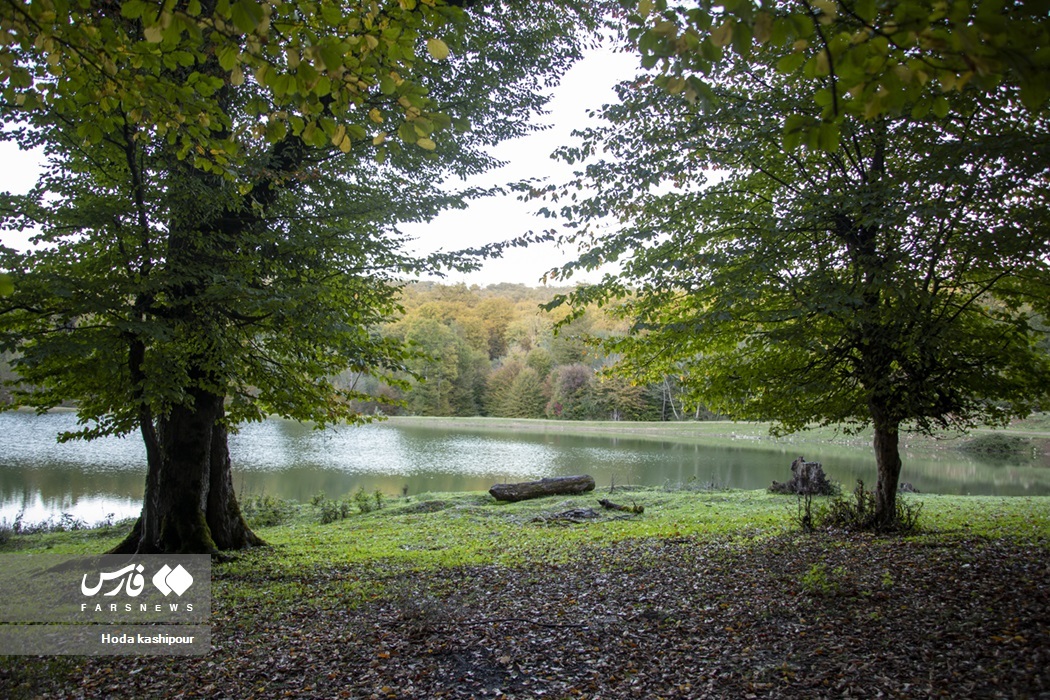 تصاویر: پاییز در زمستان