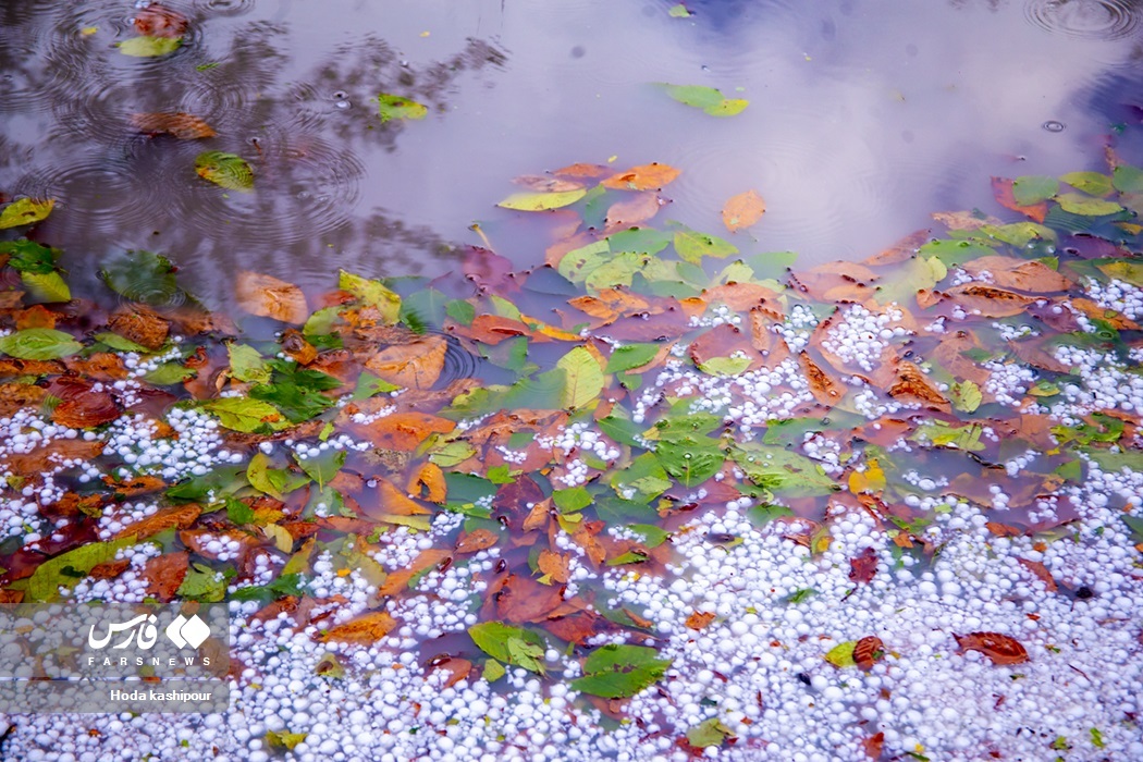 تصاویر: پاییز در زمستان