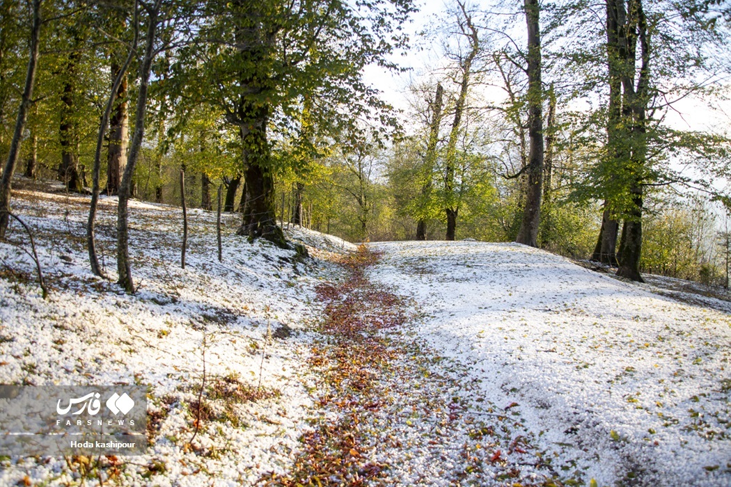 تصاویر: پاییز در زمستان