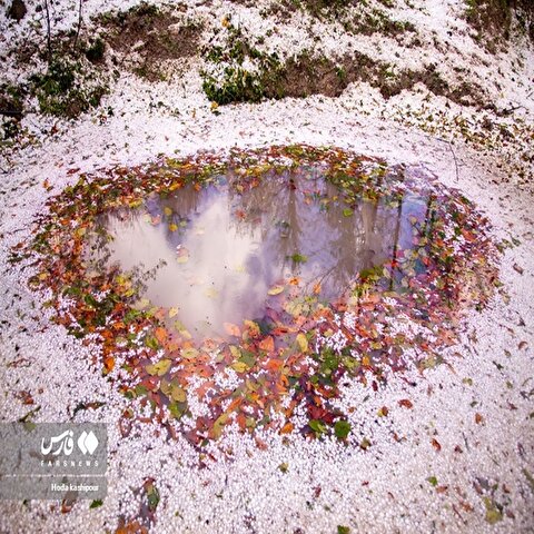 تصاویر: پاییز در زمستان