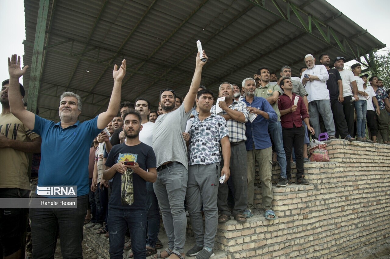 تصاویر: تماشاگران