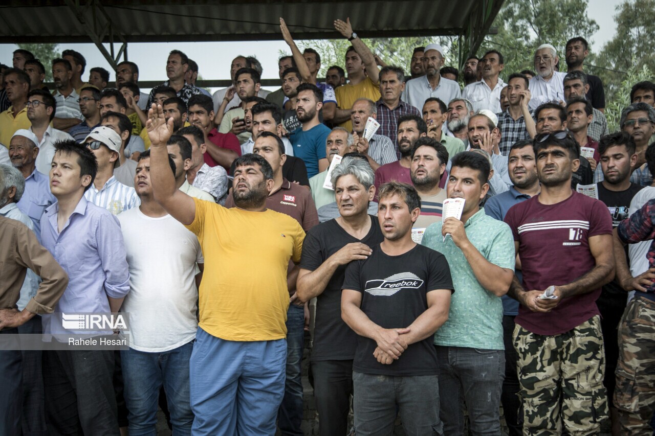 تصاویر: تماشاگران