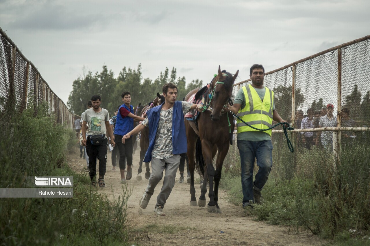 تصاویر: تماشاگران