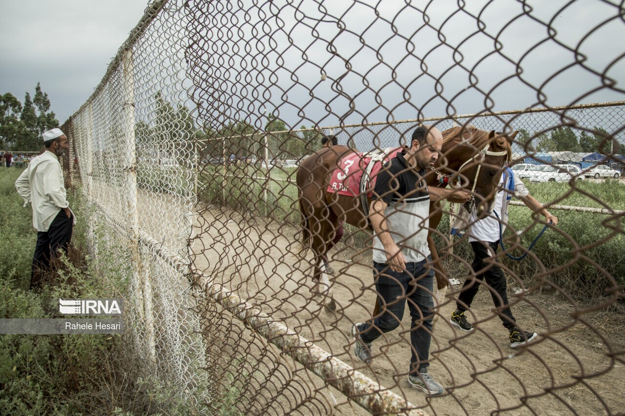 تصاویر: تماشاگران